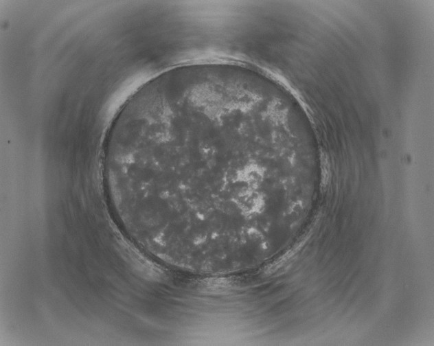 X0000068771463200605191636