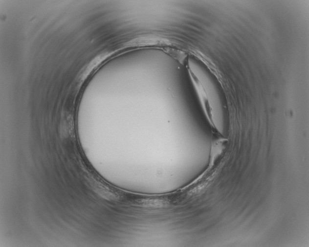 X0000068771465200605191636