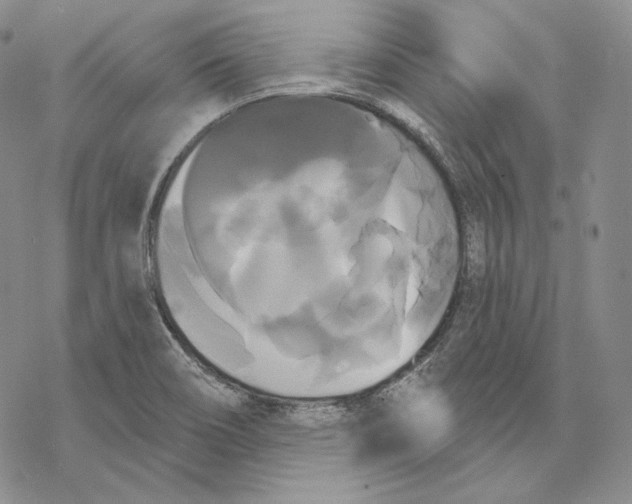 X0000068771466200605191636