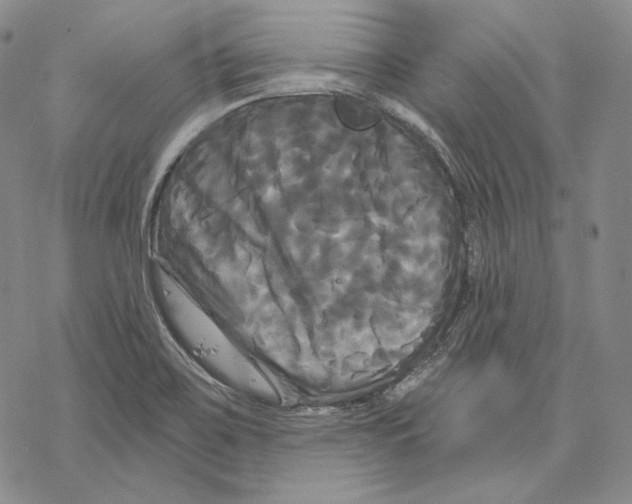 X0000068771467200605191636