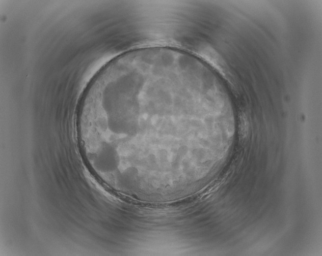 X0000068771468200605191636