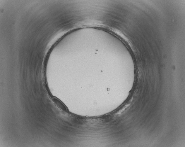 X0000068771469200605191636