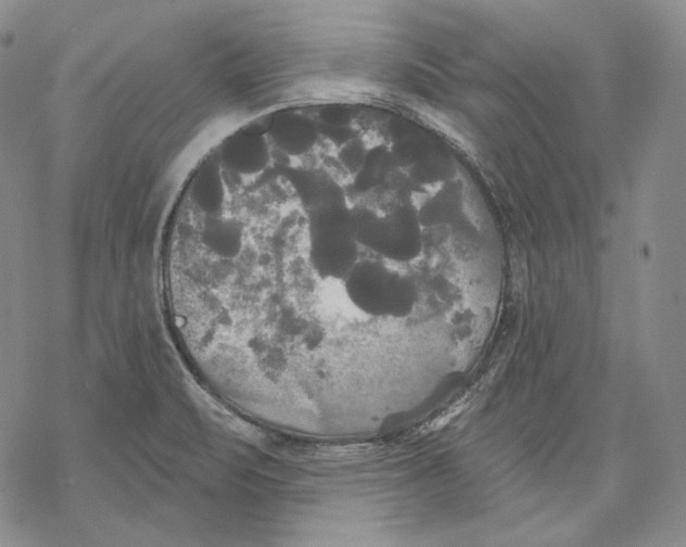 X0000068771471200605191636