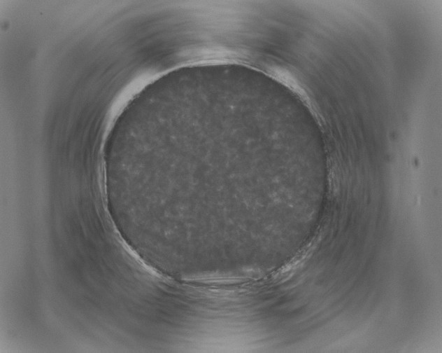 X0000068771472200605191636