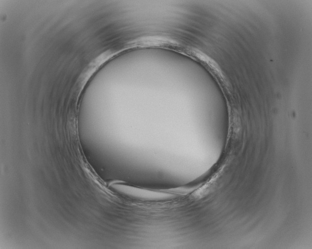 X0000068771473200605191636