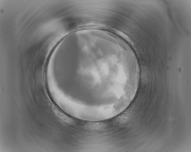 X0000068771474200605191636