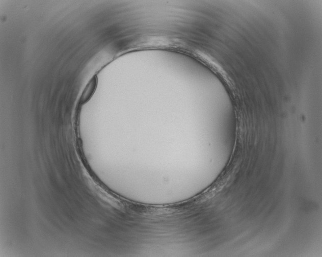 X0000068771475200605191636