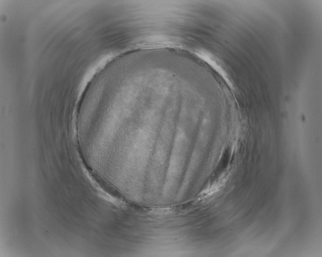 X0000068771477200605191636