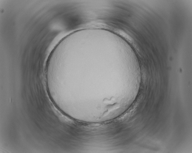 X0000068771478200605191636