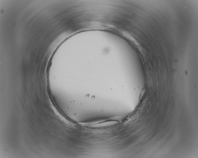 X0000068771479200605191636