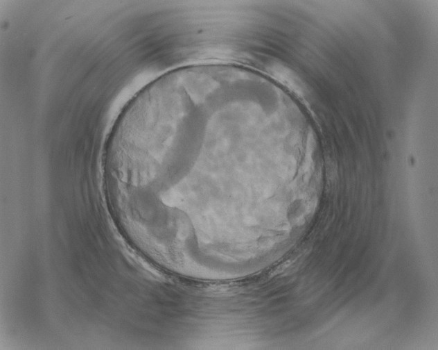 X0000068771480200605191636