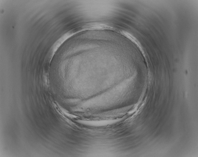 X0000068771481200605191636