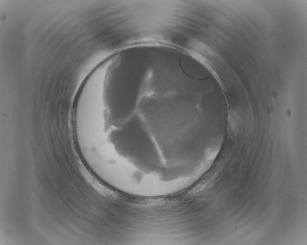 X0000068771482200605191636