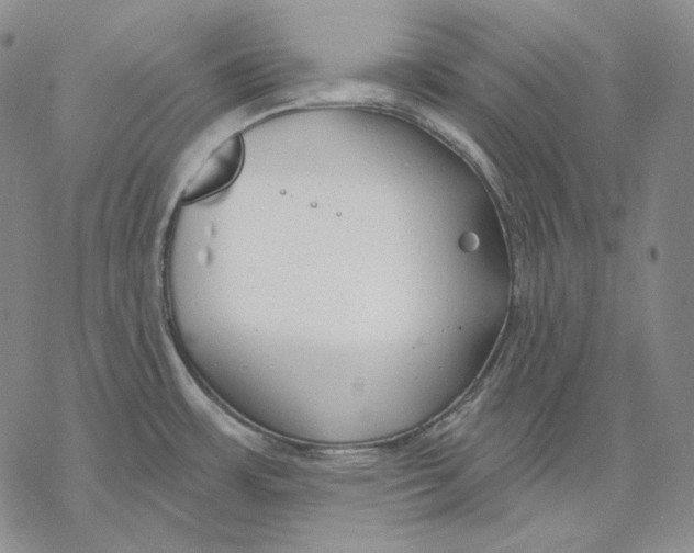 X0000068771483200605191636