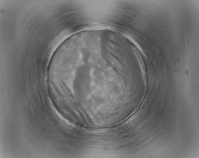 X0000068771484200605191636