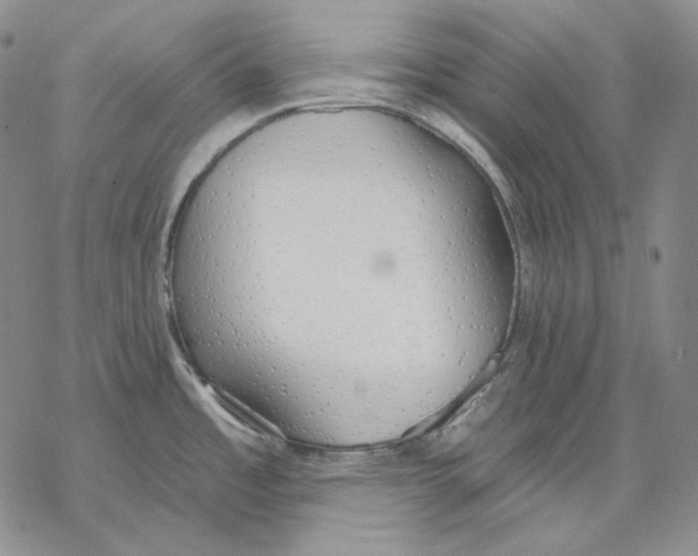 X0000068771485200605191636