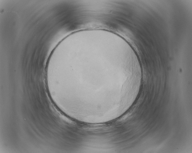 X0000068771486200605191636