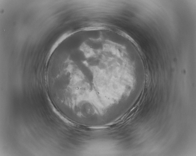 X0000068771487200605191636