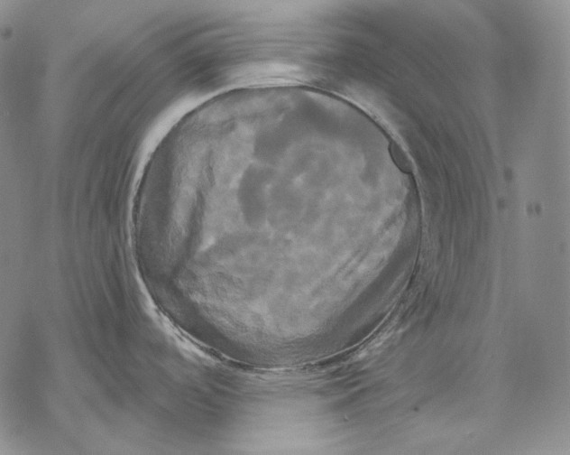 X0000068771488200605191636