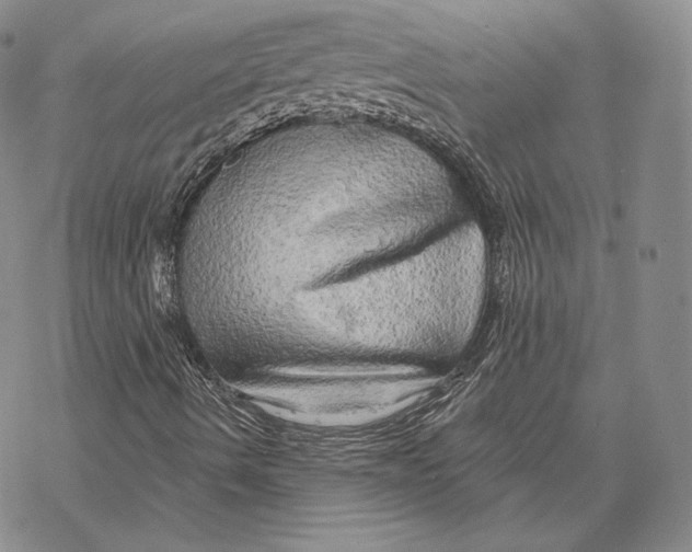 X0000068771490200605191635