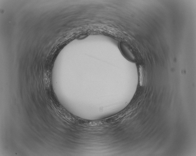 X0000068771491200605191635