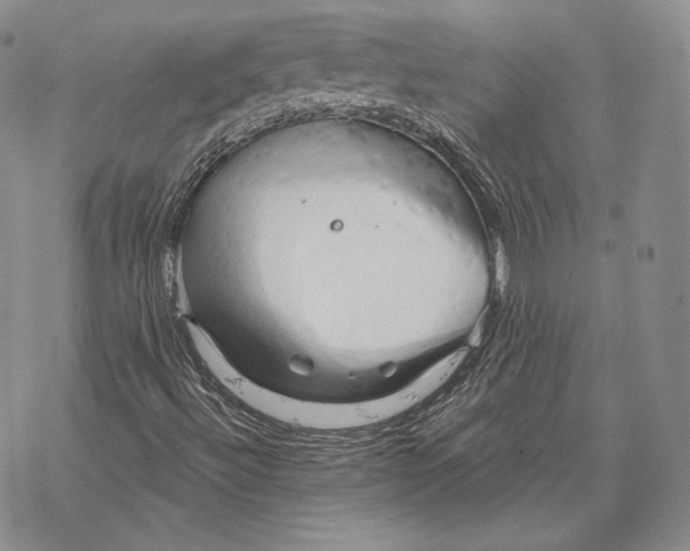 X0000068771492200605191635