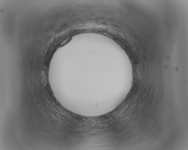 X0000068771493200605191635