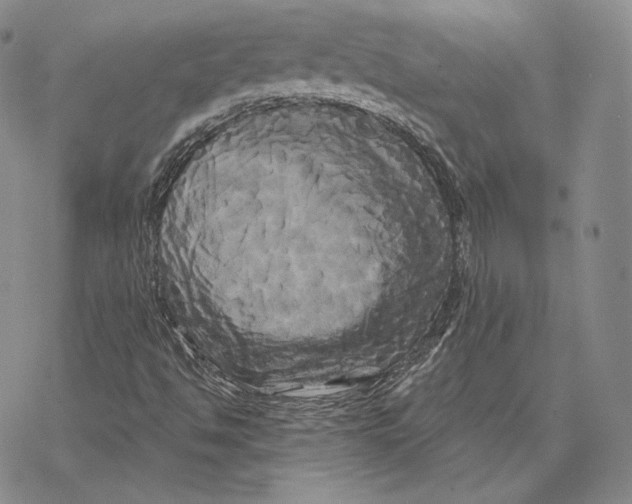 X0000068771494200605191635