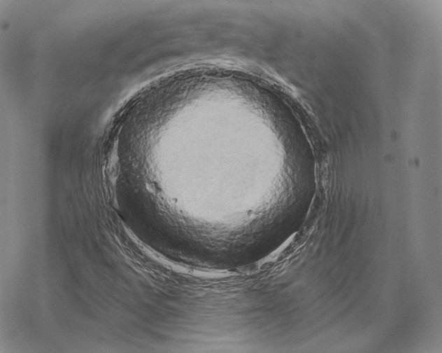 X0000068771496200605191635