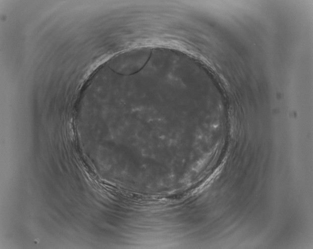 X0000068771497200605191635