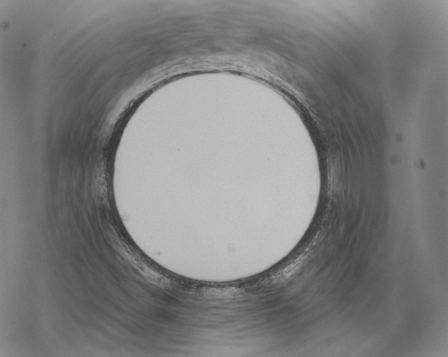 X0000068771498200605191635