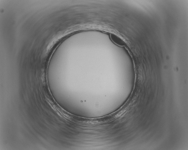 X0000068771499200605191635