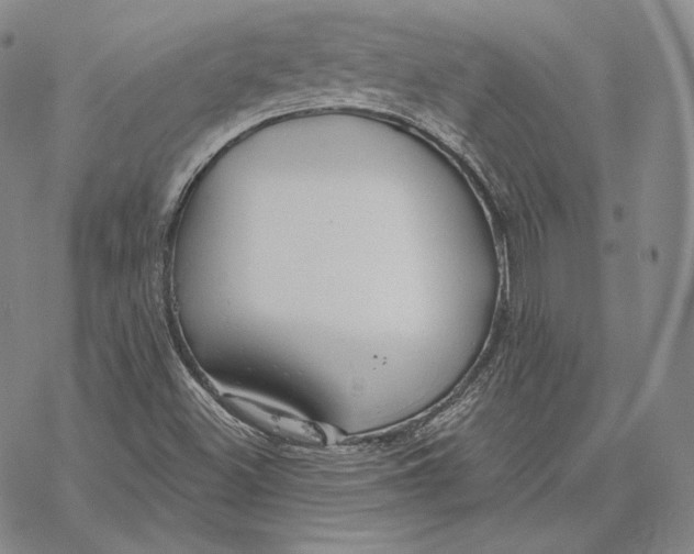 X0000068771500200605191635