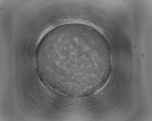 X0000068771501200605191635