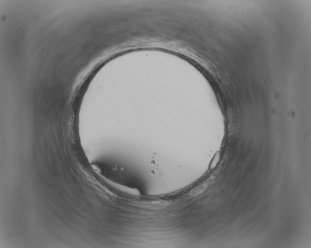 X0000068771502200605191635