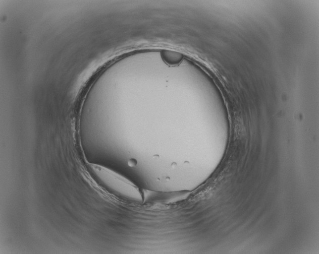 X0000068771503200605191635