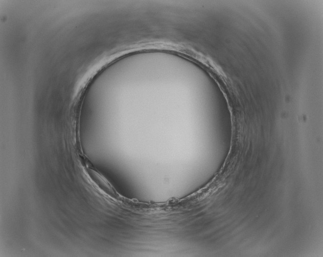 X0000068771504200605191635