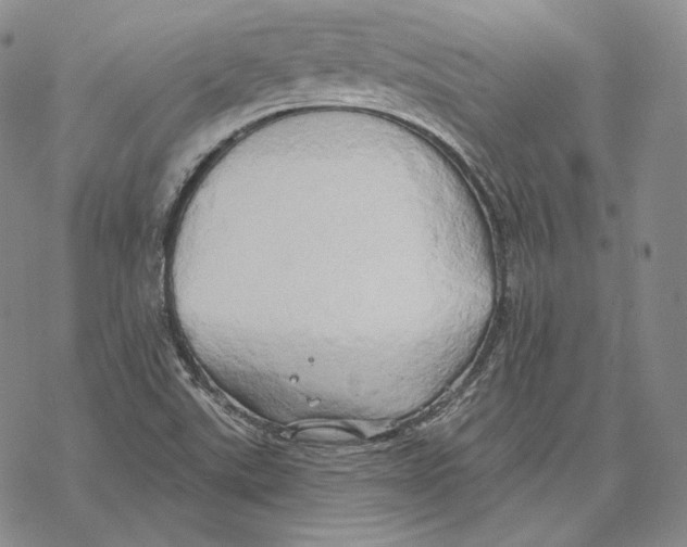 X0000068771507200605191635