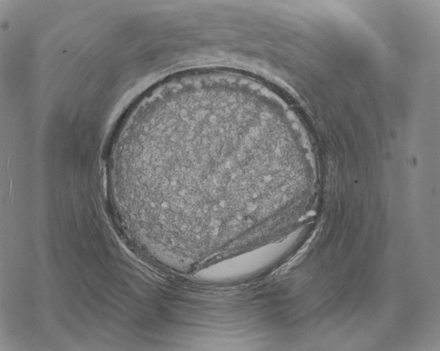 X0000068771509200605191635