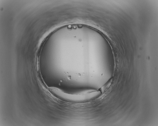 X0000068771510200605191635