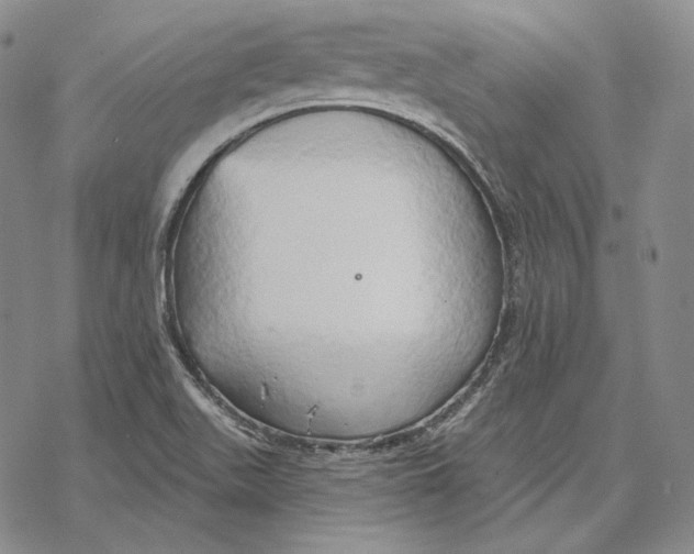 X0000068771511200605191635