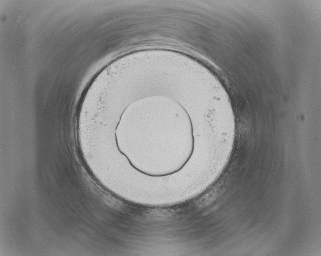 X0000068771514200605191635