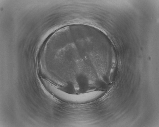 X0000068771515200605191635