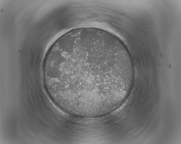 X0000068771517200605191635