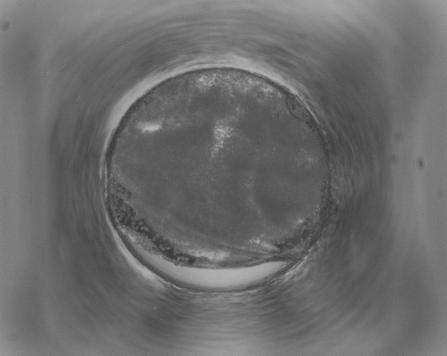 X0000068771519200605191635