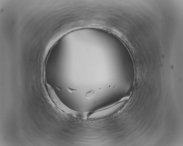 X0000068771520200605191635