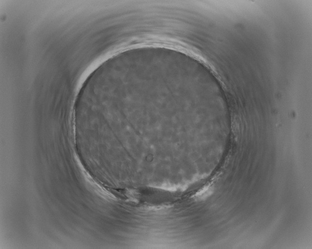 X0000068771522200605191635