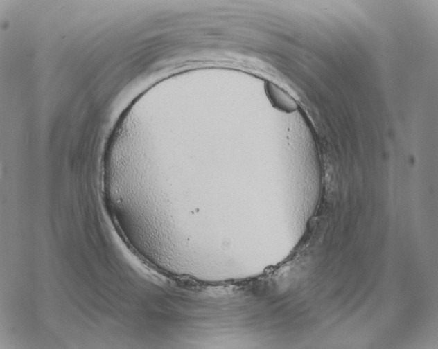 X0000068771523200605191635