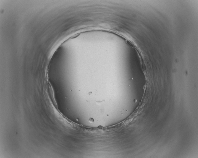 X0000068771524200605191635