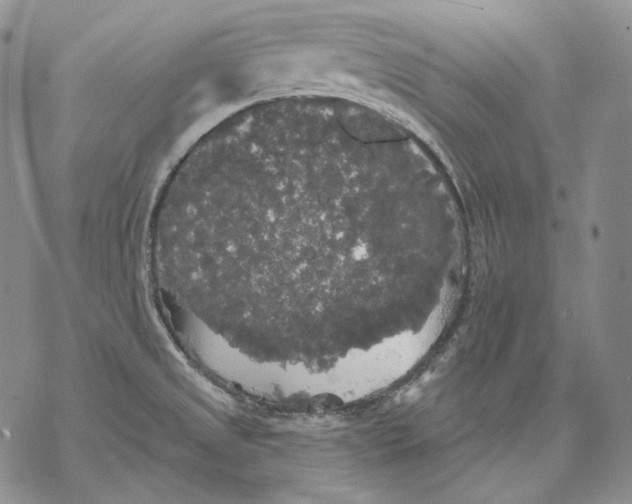 X0000068771525200605191635